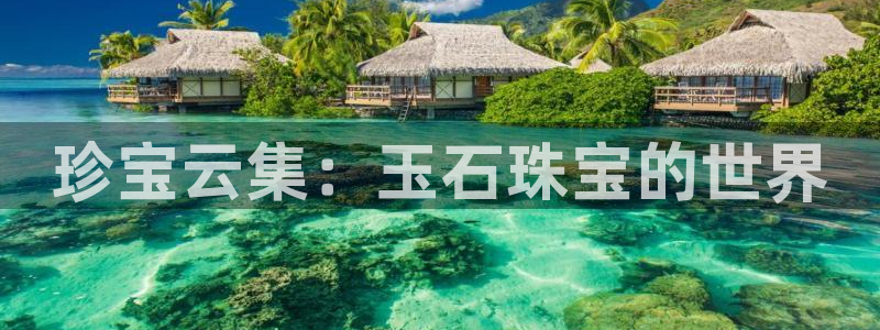 新宝5娱乐然