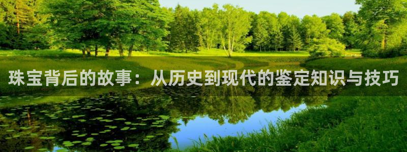 新宝5测速登录：珠宝背后的故事：从历史到现代的鉴定知识与技巧