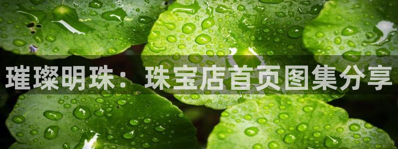 新宝5娱乐登录：璀璨明珠：珠宝店首页图集分享