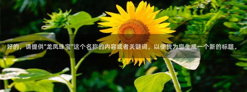 新宝5苹果手机下载：好的，请提供\