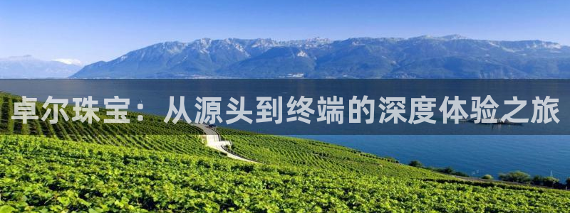 新宝5下载测试：卓尔珠宝：从源头到终端的深度体验之旅