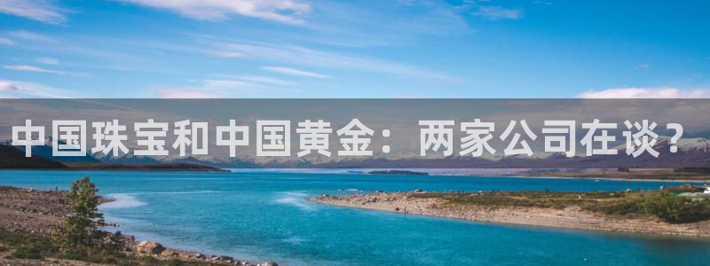 i新宝5：中国珠宝和中国黄金：两家公司在谈？