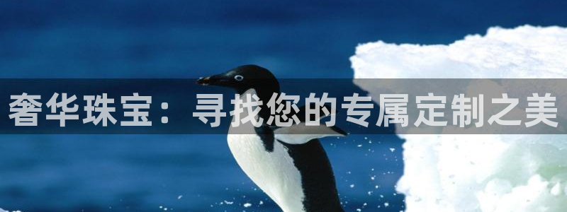 新宝股东瞧听2 5 5：奢华珠宝：寻找您的专属定制之美