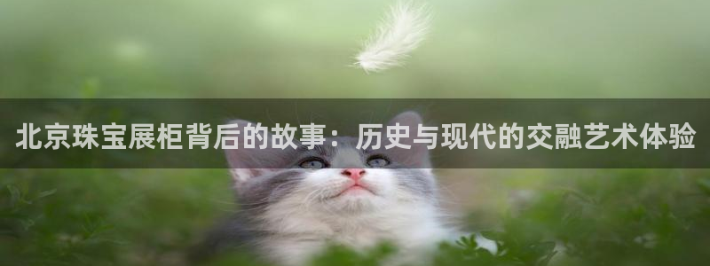 新宝5唯一：北京珠宝展柜背后的故事：历史与现代的交融艺术体验