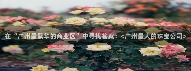 新宝cR一5：在“广州最繁华的商业区”中寻找答案：<广州最大的珠宝公司>