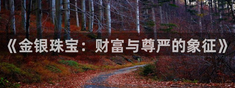 新宝5娱乐家：《金银珠宝：财富与尊严的象征》