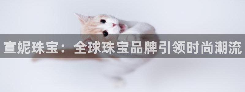 新宝5官方登录入口：宣妮珠宝：全球珠宝品牌引领时尚潮流