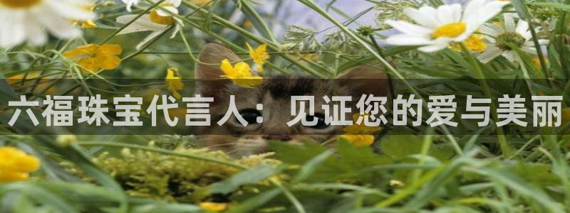 新宝5登录界面：六福珠宝代言人：见证您的爱与美丽
