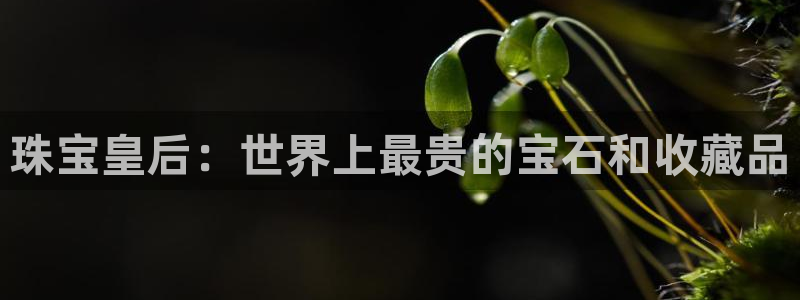 新宝j2O5O5O：珠宝皇后：世界上最贵的宝石和收藏品