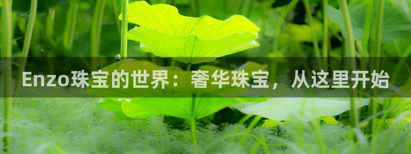 新宝5注册首页：Enzo珠宝的世界：奢华珠宝，从这里开始
