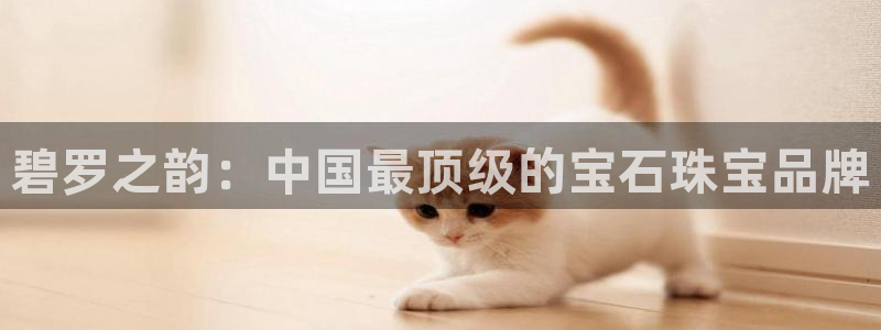 新宝b2O5O5O：碧罗之韵：中国最顶级的宝石珠宝品牌