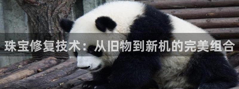 新宝5日740005蔻：珠宝修复技术：从旧物到新机的完美组合