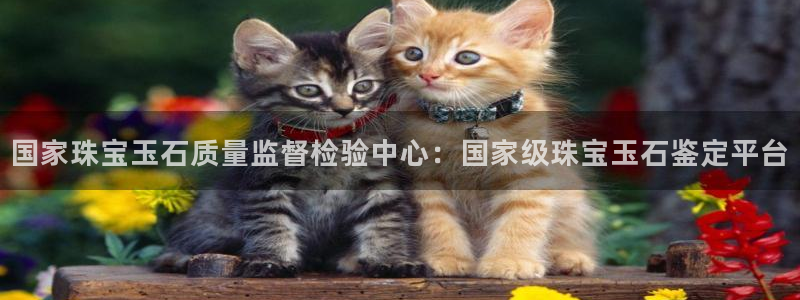 新宝5平台登录：国家珠宝玉石质量监督检验中心：国家级珠宝玉石鉴定平台