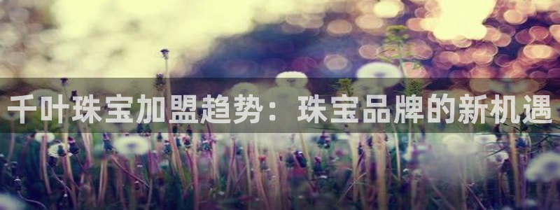 新宝5登陆：千叶珠宝加盟趋势：珠宝品牌的新机遇