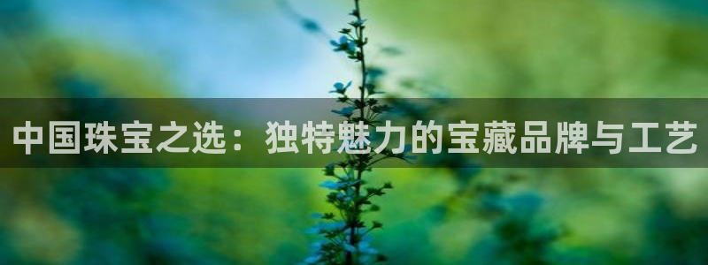 新宝5测登录：中国珠宝之选：独特魅力的宝藏品牌与工艺