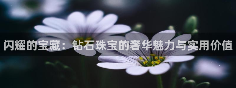 新宝5代理注册：闪耀的宝藏：钻石珠宝的奢华魅力与实用价值