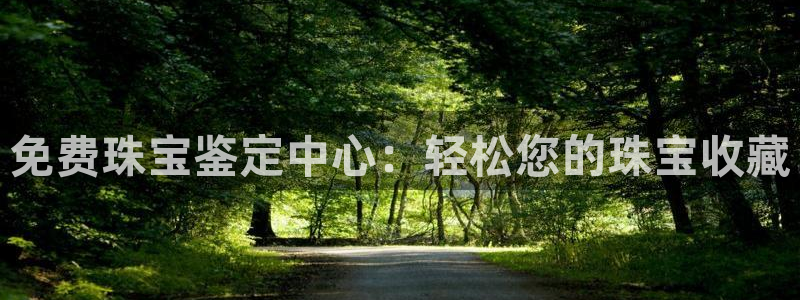 新宝5娱乐学：免费珠宝鉴定中心：轻松您的珠宝收藏