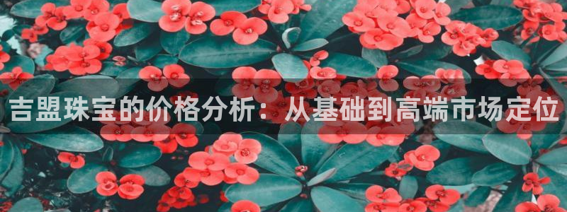 新宝5官方登录入口：吉盟珠宝的价格分析：从基础到高端市场定位