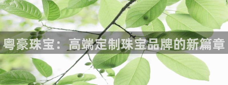 新宝5官方下载地址：粤豪珠宝：高端定制珠宝品牌的新篇章