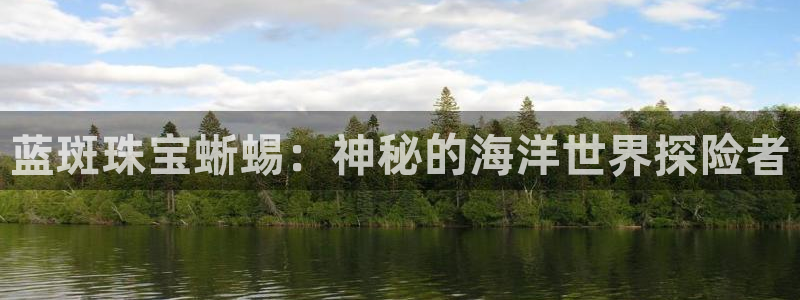 新宝rc_5w：蓝斑珠宝蜥蜴：神秘的海洋世界探险者