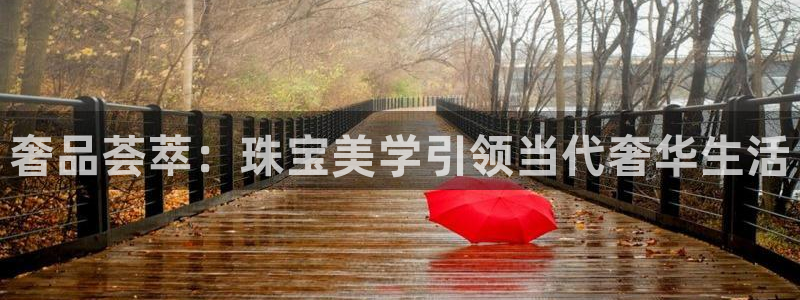 新宝rc_5w：奢品荟萃：珠宝美学引领当代奢华生活