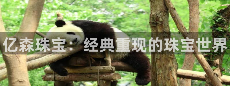 新宝5娱乐然：亿森珠宝：经典重现的珠宝世界