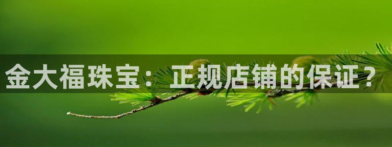 新宝5后：金大福珠宝：正规店铺的保证？