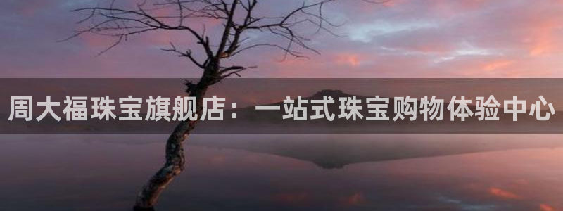 新宝5得74OOO5：周大福珠宝旗舰店：一站式珠宝购物体验中心