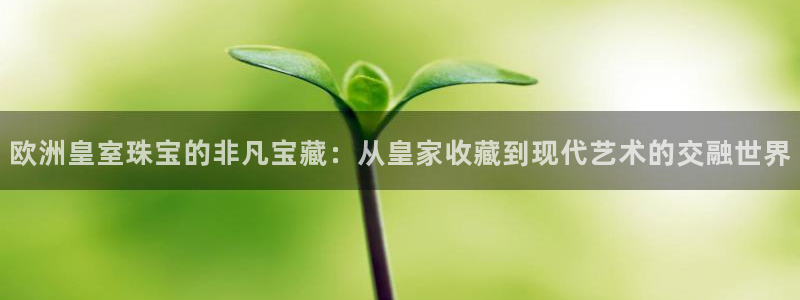 新宝5平台登录注册：欧洲皇室珠宝的非凡宝藏：从皇家收藏到现代艺术的交融世界