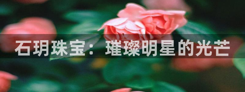 新宝b2O5O5O：石玥珠宝：璀璨明星的光芒