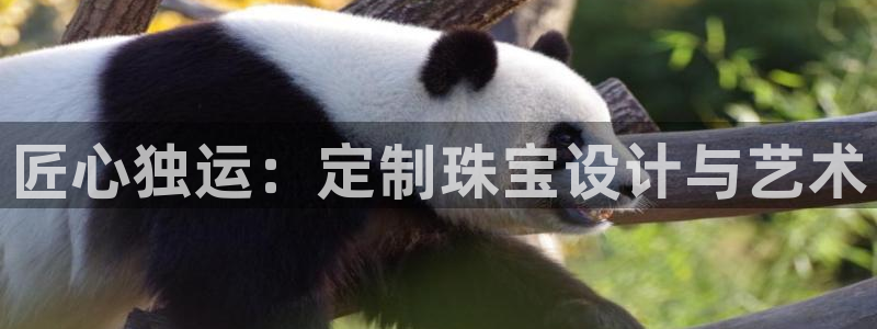 新宝奇迹GG5：匠心独运：定制珠宝设计与艺术