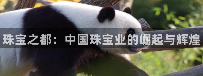 皇冠新宝5：珠宝之都：中国珠宝业的崛起与辉煌