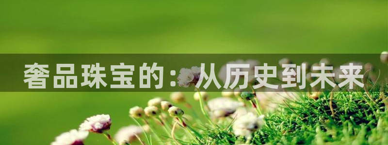 新宝5总代：奢品珠宝的：从历史到未来