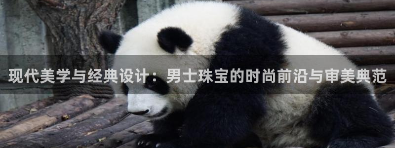 新宝5谠631257：现代美学与经典设计：男士珠宝的时尚前沿与审美典范