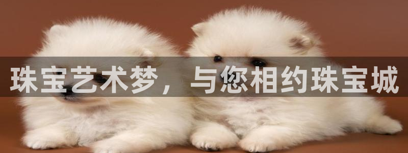 新宝5现在还能玩吗：珠宝艺术梦，与您相约珠宝城