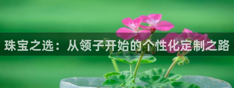 新宝5苹果手机下载：珠宝之选：从领子开始的个性化定制之路