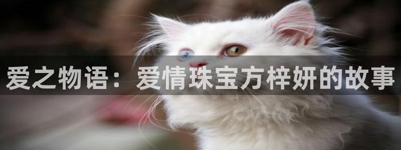 新宝5周74OOO5：爱之物语：爱情珠宝方梓妍的故事