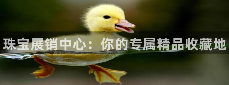 新宝5下载测试：珠宝展销中心：你的专属精品收藏地