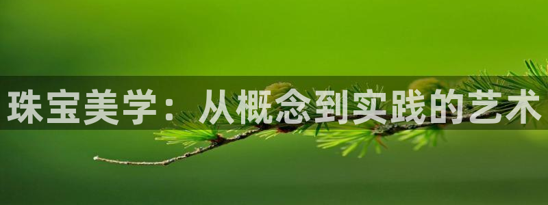 新宝cR一5：珠宝美学：从概念到实践的艺术