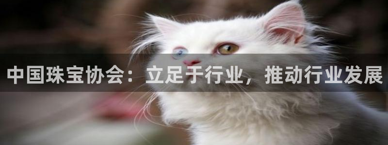 新宝5娱乐如：中国珠宝协会：立足于行业，推动行业发展