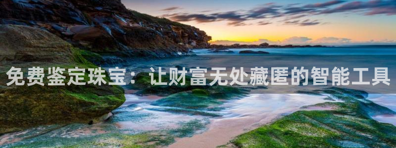 新宝5app手机下载：免费鉴定珠宝：让财富无处藏匿的智能工具