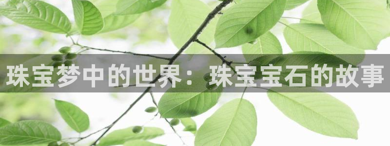 新宝股东瞧听2 5 5：珠宝梦中的世界：珠宝宝石的故事