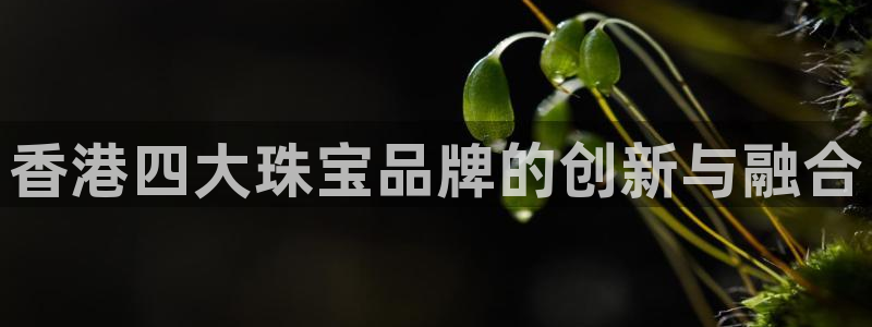 新宝5官网67五壹叁八：香港四大珠宝品牌的创新与融合