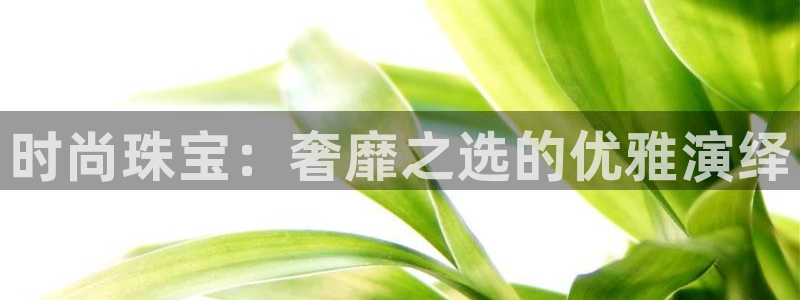 新宝5平台霸：时尚珠宝：奢靡之选的优雅演绎
