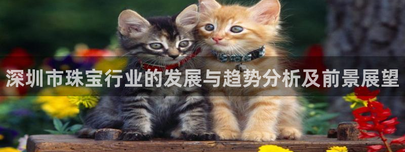 新宝5湫333 00：深圳市珠宝行业的发展与趋势分析及前景展望