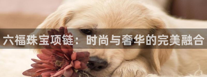 新宝5官方登录入口：六福珠宝项链：时尚与奢华的完美融合