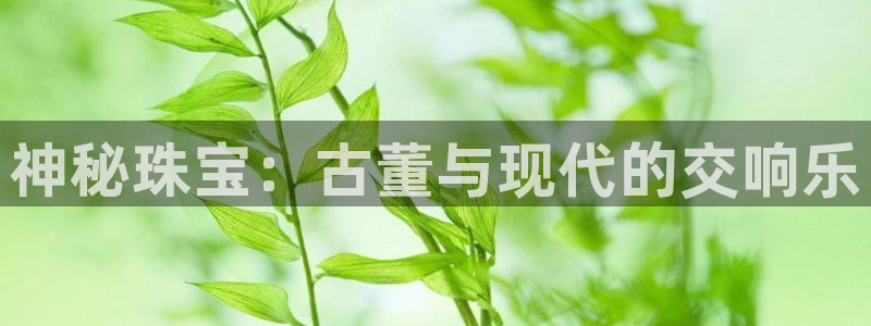 新宝5手机版：神秘珠宝：古董与现代的交响乐