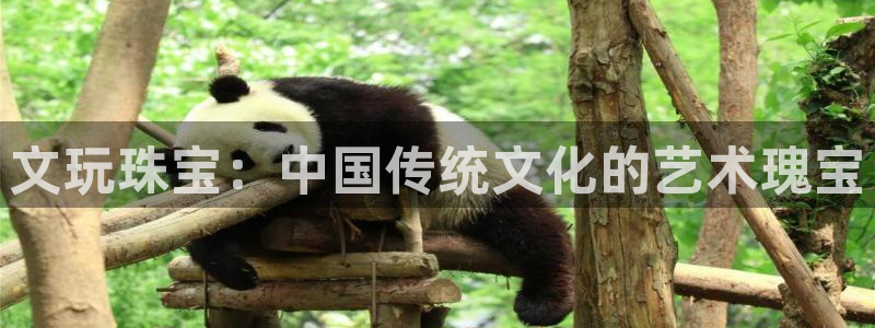 新宝5为啥开：文玩珠宝：中国传统文化的艺术瑰宝