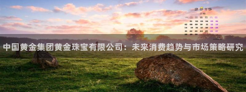 新宝5登陆：中国黄金集团黄金珠宝有限公司：未来消费趋势与市场策略研究