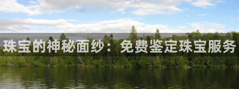 新宝5登陆：珠宝的神秘面纱：免费鉴定珠宝服务